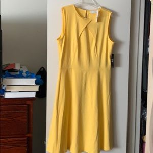 I did not like the color